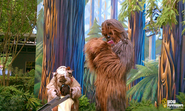 Disney's Hollywood Studios Star Wars Weekends Walt Disney World Ewok and Chewbacca