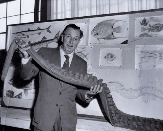 A Rare picture of Walt Disney holding a fake octopus tentacle